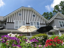 20120626summer_parasol.JPG