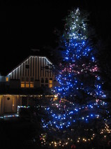 201212115 Xmas tree.JPG