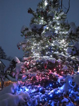 20121229 snow kettei.JPG