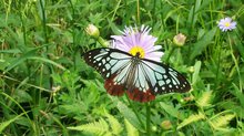 DSC_0187.JPG
